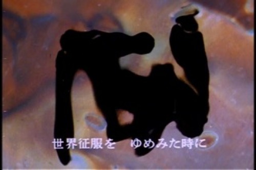 PDVD_005.jpg
