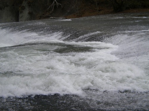 ブログ用 813.jpg