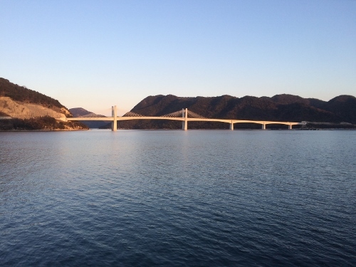 280117_1 (500x375).jpg