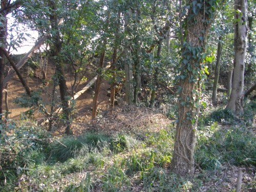 青鳥城空堀(3) (500x375).jpg