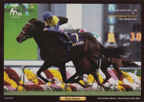 ディープインパクト_菊花賞_JRA60th_京都.jpg