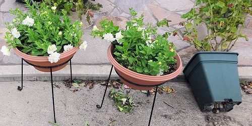 風に抵抗性のある鉢スタンド 今日のできごと 楽天ブログ 風に抵抗性のある鉢スタンド 今日のできごと 楽天ブログ