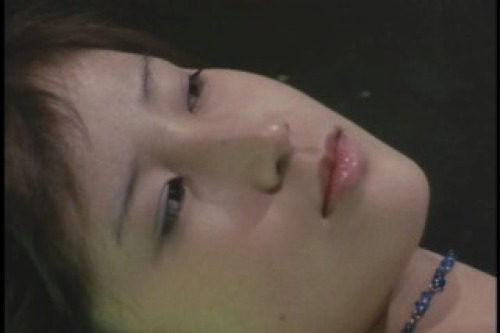 PDVD_003.jpg