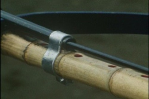 PDVD_007.jpg
