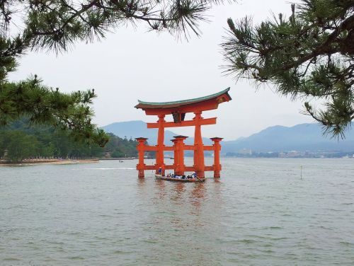 miyajima1_h240623_04.jpg