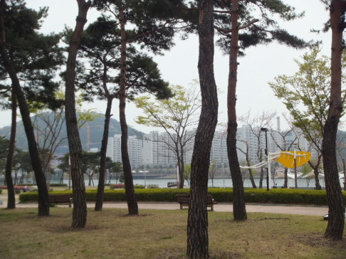 2013_04060072.JPG