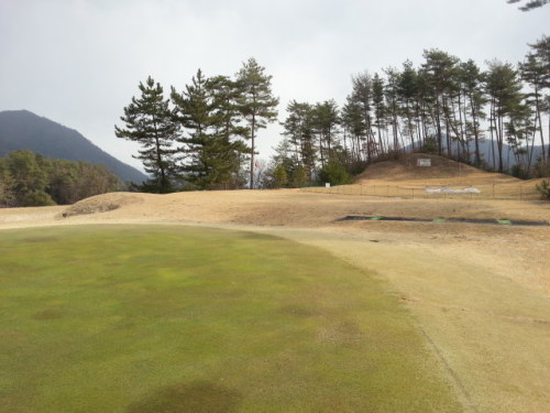 20140307_100226.jpg
