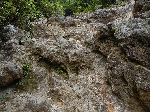 20120728金精峠登山道.jpg