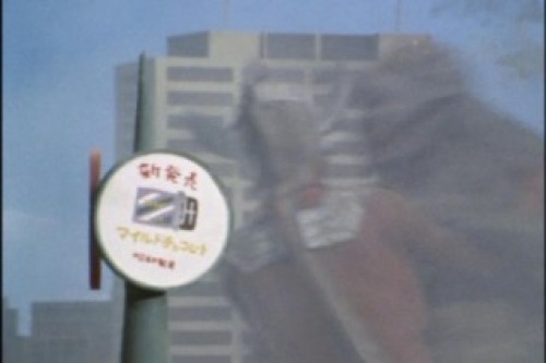 PDVD_008.jpg
