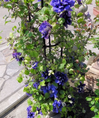 2016-04-19 13.49.23.jpg