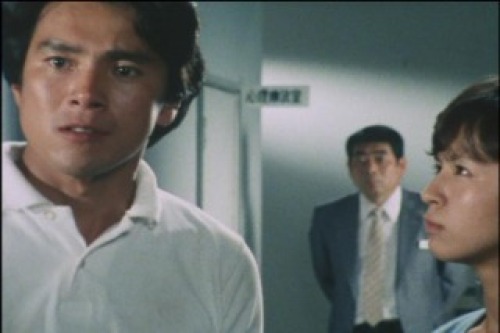 PDVD_005.jpg