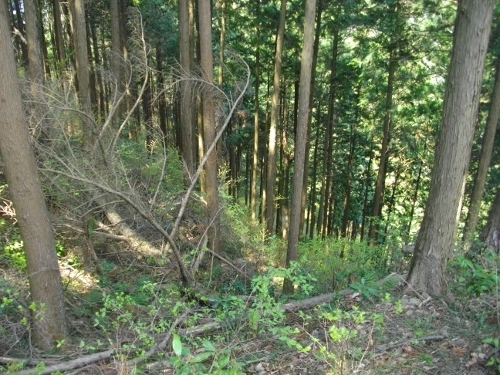 枡形山城堀切 (4) (500x375).jpg