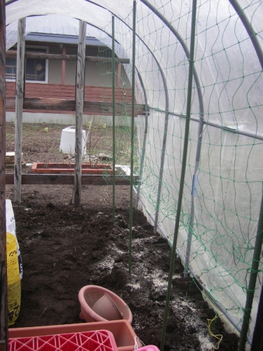 IMGP0049 (600x800).jpg