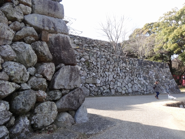 DSC00295.jpg
