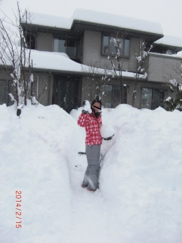 CIMG7128 (480x640).jpg