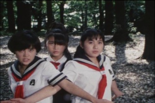 PDVD_046.jpg