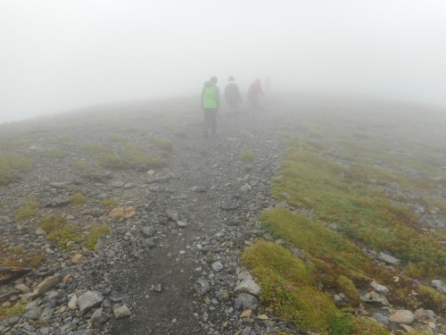 間ノ岳登山道.JPG