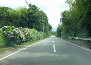 佐渡63.jpg