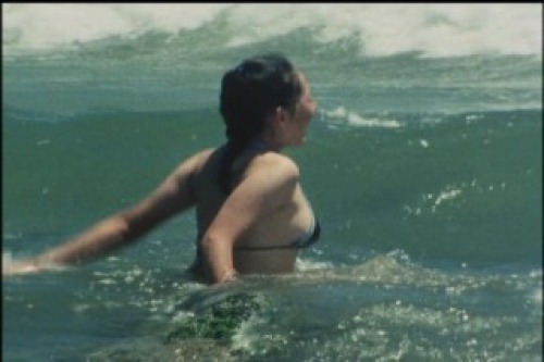 PDVD_001.jpg