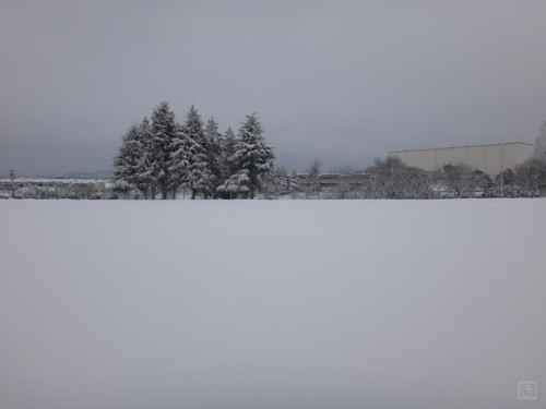 DSC03373_S.JPG