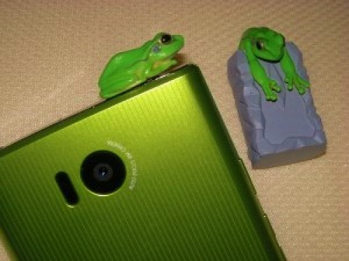 DSCN5958 (300x225).jpg