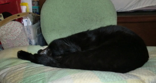 DCIM 003(V.2014_05_04__03_04_37).jpg