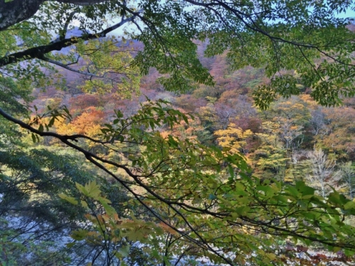 IMG_6563 (640x480).jpg