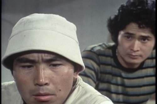 PDVD_037.jpg