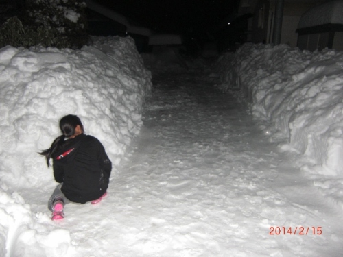 CIMG7135 (640x480).jpg