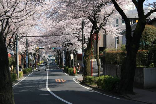Oizumi-gakuen Street