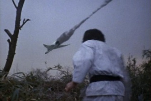PDVD_018.jpg