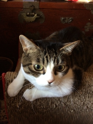 IMG_8361 - コピー.JPG