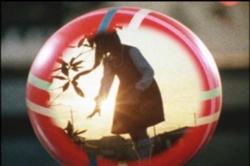 PDVD_026.jpg