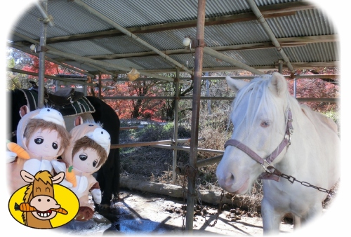 午年 (1280x865).jpg