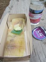 IMG_4029_R.JPG