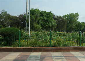 インド973.jpg