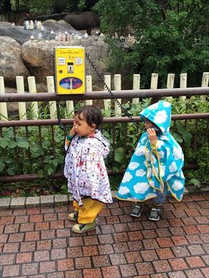 IMG_3942_R.JPG