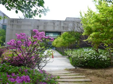 20120502GW韓国旅行29.jpg