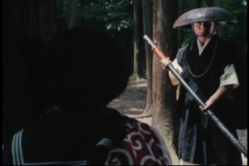 PDVD_028.jpg