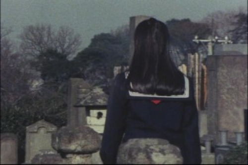 PDVD_006.jpg