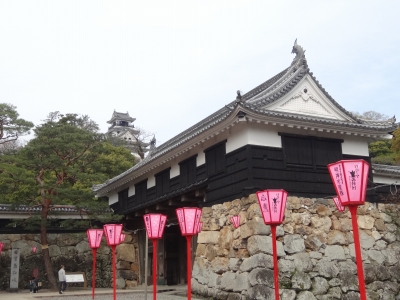 DSC00400.jpg