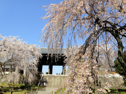 東郷寺２　2012.4.9.JPG