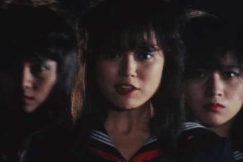 PDVD_020.jpg