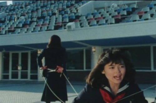 PDVD_021.jpg