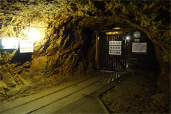 金山43.jpg