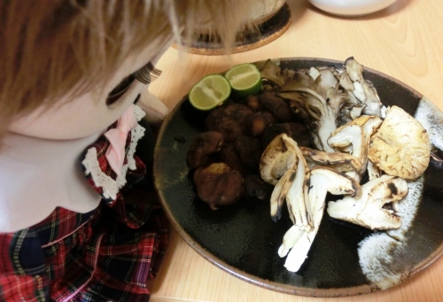 CIMG1680 (1024x698).jpg