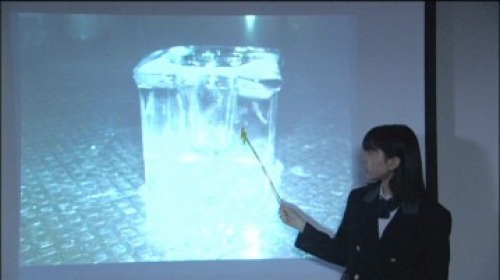 PDVD_024.jpg