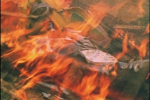 PDVD_037.jpg