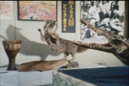 PDVD_007.jpg