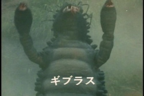 PDVD_025.jpg